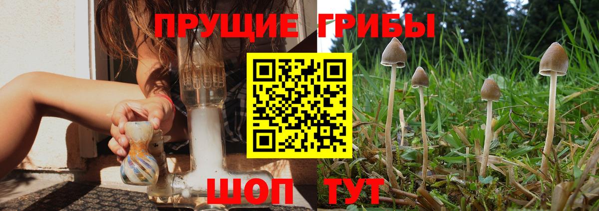 Псилоцибиновые грибы ЛСД Новороссийск